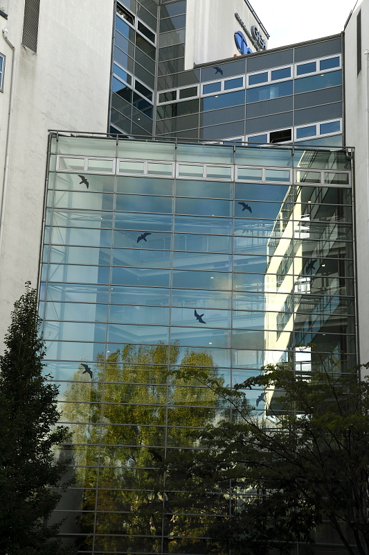 Madarak ablaknak ütközése ellen üvegfalra ragasztott ragadozómadár-sziluettek  (Fotó: Orbán Zoltán).