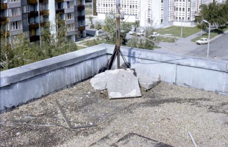 Lapostetőn feltámasztott járdalapok alatt fészkelő parlagi galamb (Fotó: Orbán Zoltán).