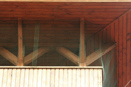 Templom nyitott toronysüvege hálóval lezárva a parlagi galambok elől (Fotó: Orbán Zoltán).