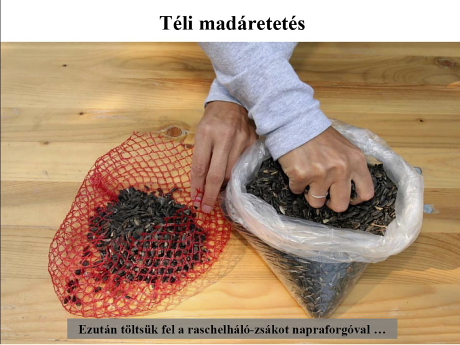 Dia a honlapról letölthető Madárbarát kert Power Point előadásból (Fotó: Orbán Zoltán).