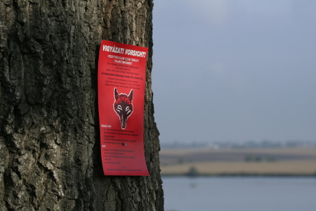 Róka immunizálási figyelmeztető plakát (Fotó: Orbán Zoltán).