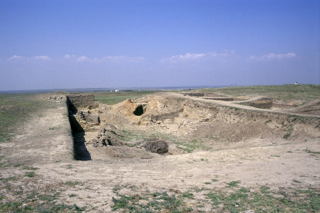 Partifecske telep a Fekete-tenger partvidékén, régészti ásatás gödrében (Fotó: Orbán Zoltán).