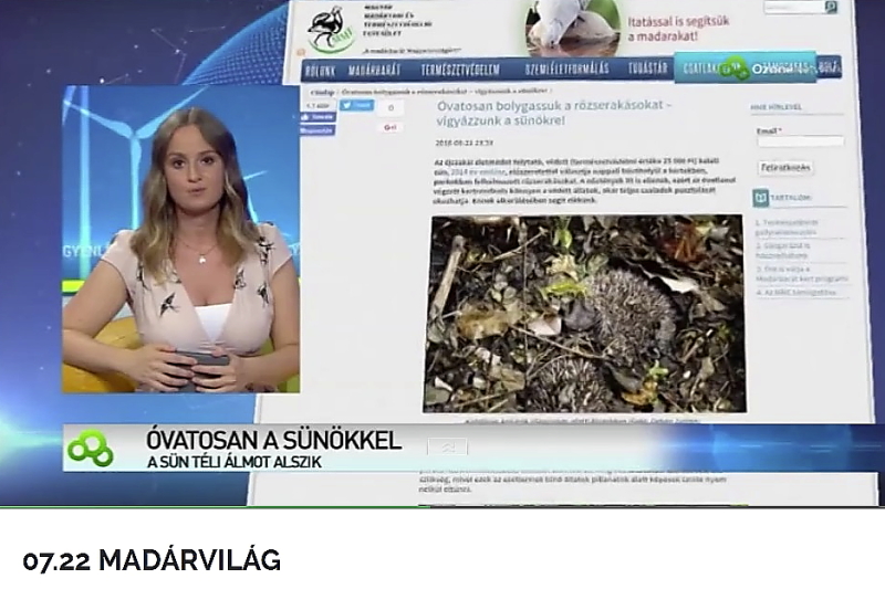 A sünbarát rőzserakás-kezelés az OzoneNetwork Egyenlítő c. műsora 2016.07.22-ei adásában (Forrás: videa.hu).