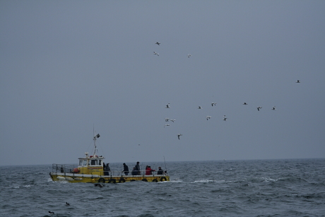 Tenger horgászcsónakkal, Anglia (Fotó: Orbán Zoltán).