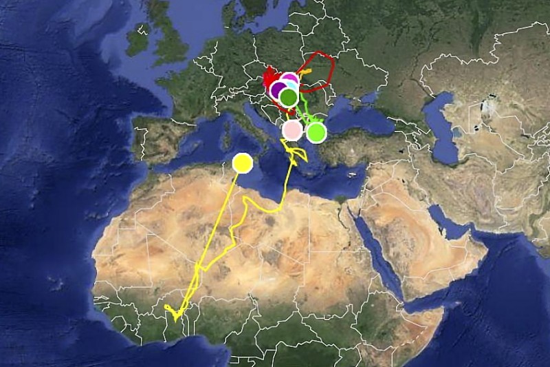 Magyarországon jelölt műholdadós parlagi sasok mozgásterülete 2014 tavaszáig (Forrás: satellitetracking.eu).