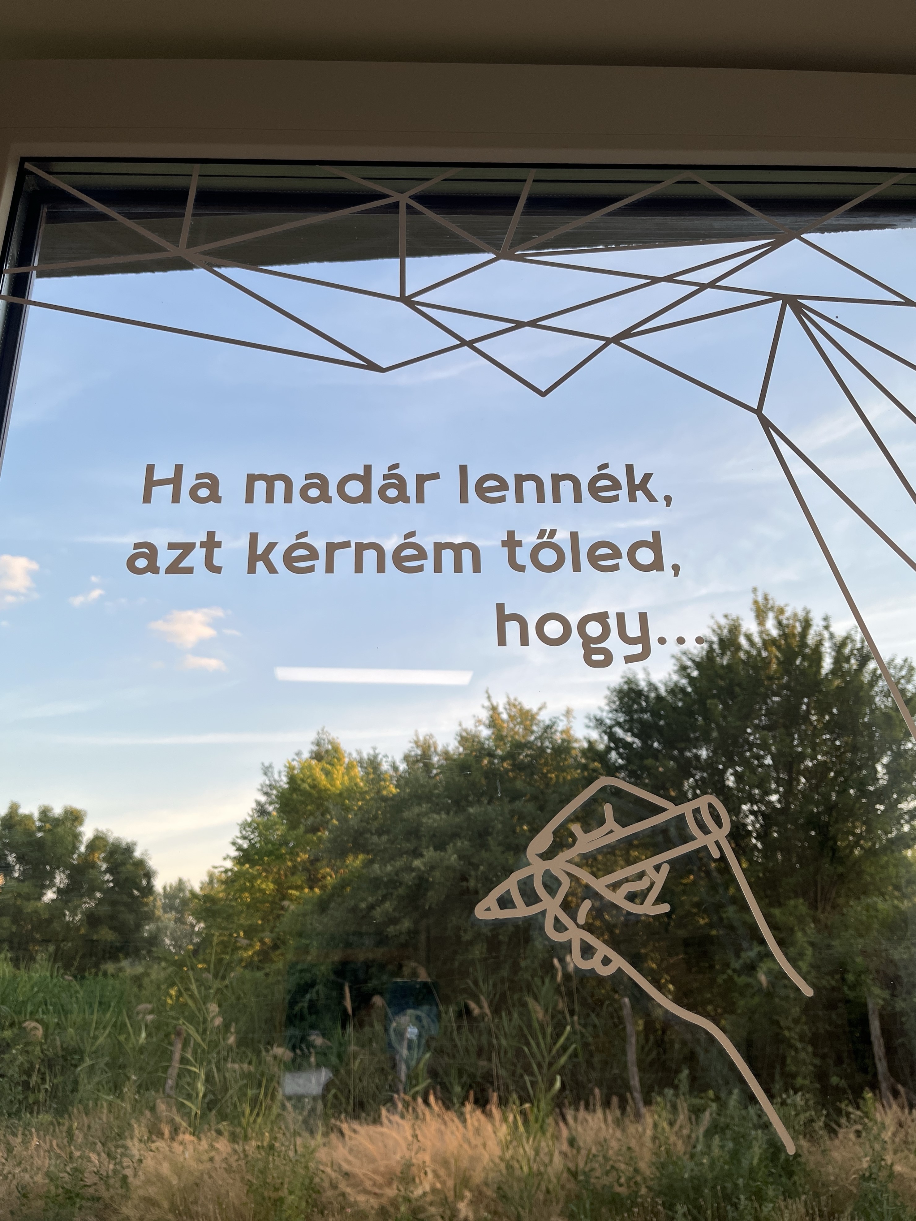mocsaros_kiallitas