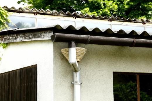 A kisebb gyékénykosár különösen az épületeken fészkelő fajok: rozsdafarkúak, a füsti és molnárfecskék sérült fészkeinek pótlására, a talált fiókáik biztonságos elhelyezésében jöhet jól (Fotó: Orbán Zoltán).