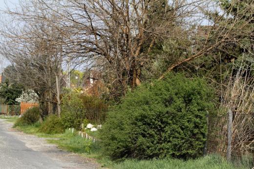 Bokros Budapesten (Fot&amp;#xF3;: Orb&amp;#xE1;n Zolt&amp;#xE1;n).