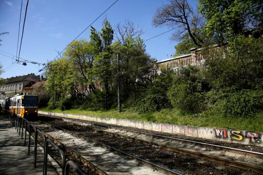 Bokros Budapesten, a Sz&amp;#xE9;ll K&amp;#xE1;lm&amp;#xE1;n (volt Moszkva) t&amp;#xE9;rn&amp;#xE9;l (Fot&amp;#xF3;: Orb&amp;#xE1;n Zolt&amp;#xE1;n).