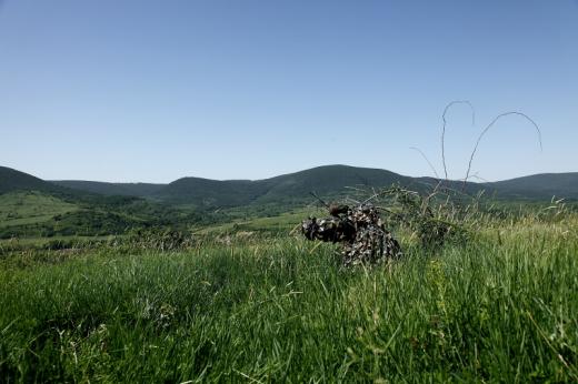 Mad&amp;#xE1;rfot&amp;#xF3;z&amp;#xE1;s Ameristep &amp;#xE1;lcaponcs&amp;#xF3;ban (Fot&amp;#xF3;: Orb&amp;#xE1;n Zolt&amp;#xE1;n).
