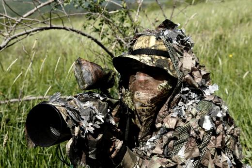 Mad&amp;#xE1;rfot&amp;#xF3;z&amp;#xE1;s Ameristep &amp;#xE1;lcaponcs&amp;#xF3;ban (Fot&amp;#xF3;: Orb&amp;#xE1;n Zolt&amp;#xE1;n).