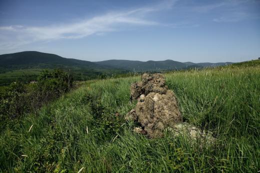 Mad&amp;#xE1;rfot&amp;#xF3;z&amp;#xE1;s &amp;#xE1;lcaruh&amp;#xE1;ban (Fot&amp;#xF3;: Orb&amp;#xE1;n Zolt&amp;#xE1;n).