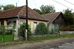 Kis posz&amp;#xE1;ta f&amp;#xE9;szekbokor (Fot&amp;#xF3;: Orb&amp;#xE1;n Zolt&amp;#xE1;n).