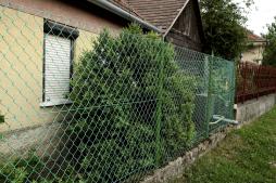 Kis posz&amp;#xE1;ta f&amp;#xE9;szekbokor (Fot&amp;#xF3;: Orb&amp;#xE1;n Zolt&amp;#xE1;n).