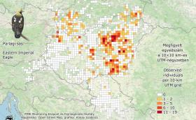 EagleCount2025_map_Aquila_heliacas.jp