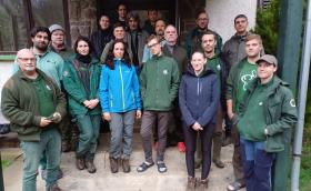 fehérhátú fakopáncs felmérés bükk_börzsöny