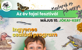 év fajai fesztivál_2025