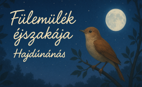 Fülemülék éjszakája
