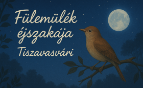 Fülemülék éjszakája