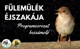 Fülemülék éjszakája