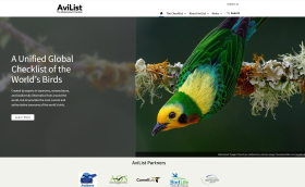 avibase_honlap_fejlec