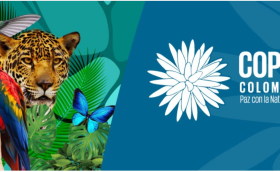 COP16