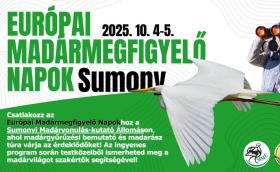 Európai Madármegfigyelő Napok - Baranya, Sumony