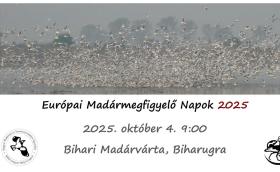 Európai Madármegfigyelő Napok - Bihari Madárvárta