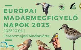 Európai Madármegfigyelő Napok - Ferencmajori Madárvárta