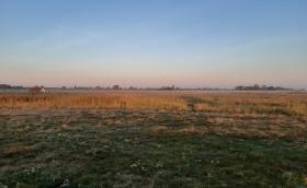 Európai Madármegfigyelő Napok - Farmos