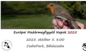 Európai Madármegfigyelő Napok - CsabaPark