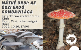 Máthé Orsi előadása az őszi gombákról
