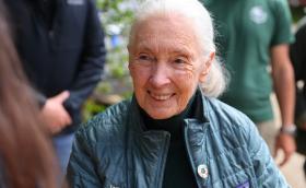 Jane Goodall Magyarországon 2023-ban (Fotó: Rahme Nikola)