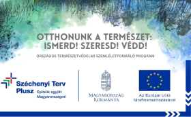 Otthonunk a természet: Szeresd! Védd meg! Kapcsolódj!