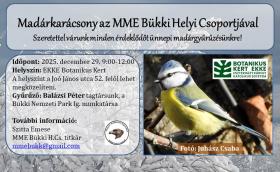 Madárkarácsony Egerben