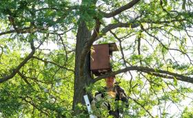 Vércseláda ellenőrzés (Fotó: Bodics Dániel)