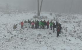 DJI_0447_Turchányi Bálint - Greenpeace.JPG