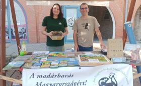 önkéntesek a pultnál