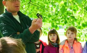 Madarak és Fák Napja, 2025. másjus 9., Gödöllő, Kastélykert.