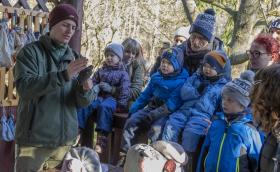 Zöldtanya bemutató gyűrűzés