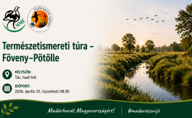 Fövenyi Természetismereti séta plakát