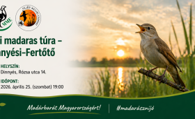 Esti madaras Túra a Dinnyési-Fertőn