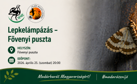 Éjszakai lepkézés Fövenyen
