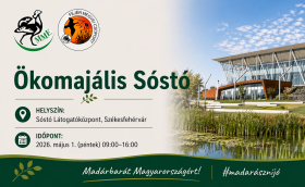 Sóstó Ökomajális