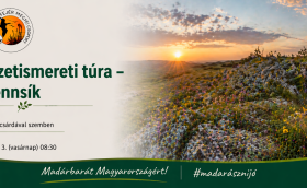Természetismereti túra Csóri-fennsík