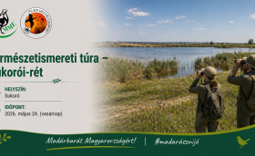 Sukórói természetismereti túra