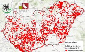 A MAP  kihívás négyzetei - Hol jársz itt, ahol a madarász se járt?