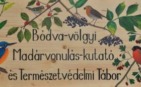 Bódva-völgyi gyűrűzőtábor