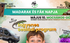madarak és fák napja mocsárosdűlő