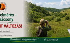 Nagykarácsony eseményborító